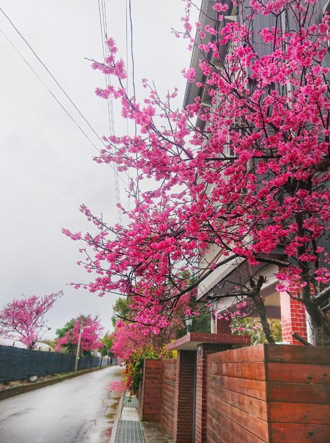 Xinshe Xiao Shu Time Homestay Zewnętrze zdjęcie